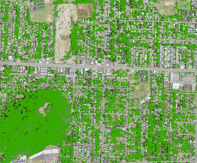 Zoomed in view of the output canopy layer overlaid on the original image