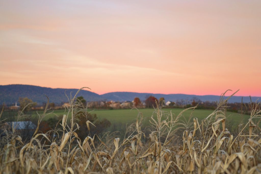 Country side in early autumn
