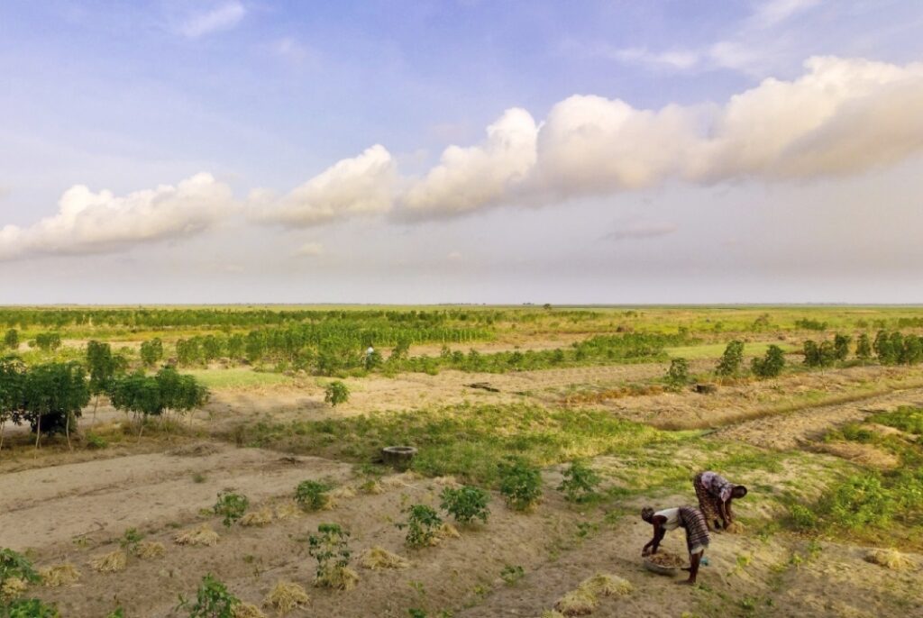 Farms in Volta Region, Ghana in 2011. 
