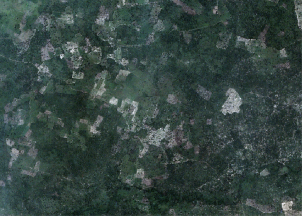 Machine learning model identifying growing fields in Africa (north)