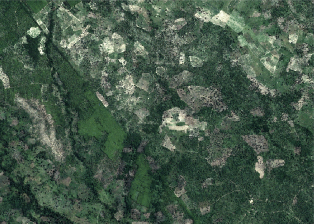 Machine learning model identifying growing fields in Africa (south)