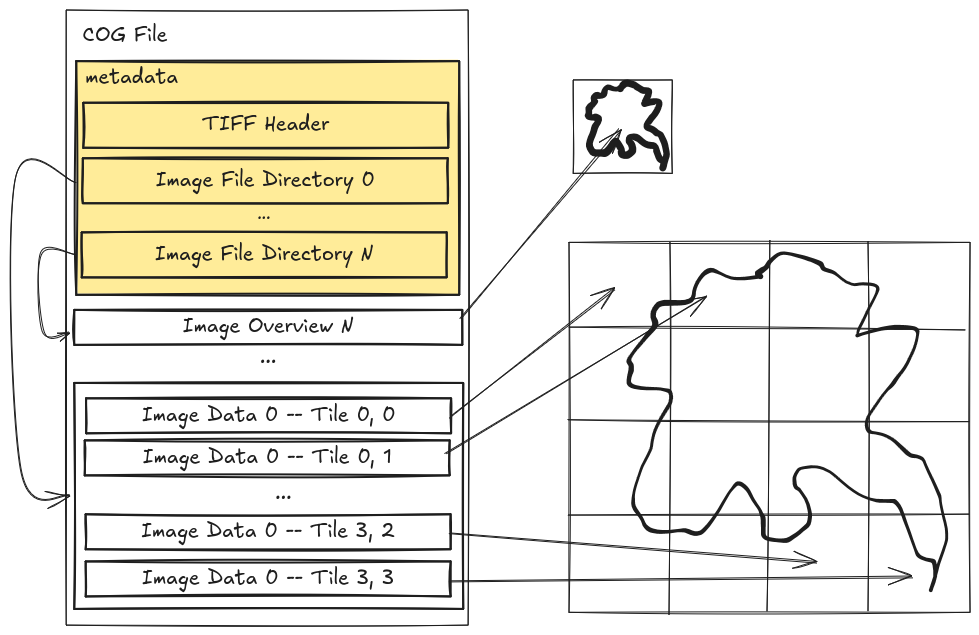A breakdown of the data contained within a cloud-optimized GeoTIFF file. The file begins with a region of bytes storing the metadata for the image data contained within the rest of the file. This region of bytes is prefixed with the TIFF header. Following that header are the Image File Directories for each image contained with the file, indexed from the first image with index 0 through to the last image at index n. The image file directory contains all the metadata for each image in the file. Multiple images within a single COG are typically used to support reduced-resolution image overviews, such that image 0 is the full resolution image and each additional image is an overview of image 0. Each image file directory points to the data bytes of its corresponding image. Those bytes are broken up into groups called tiles. Each tile maps to a region in the larger image array.