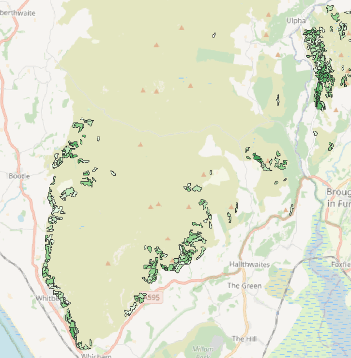 A gif showing polygons in red and green over a map image. The red polygons are overlayed over green polygons showing predictions. 